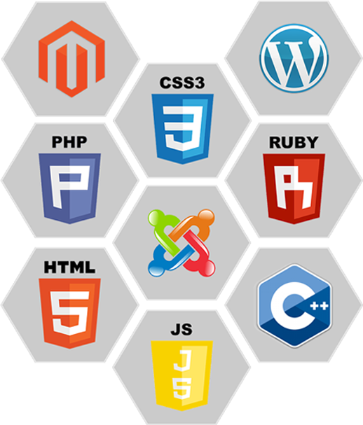 web-designing-company-thrissur-three web-designing